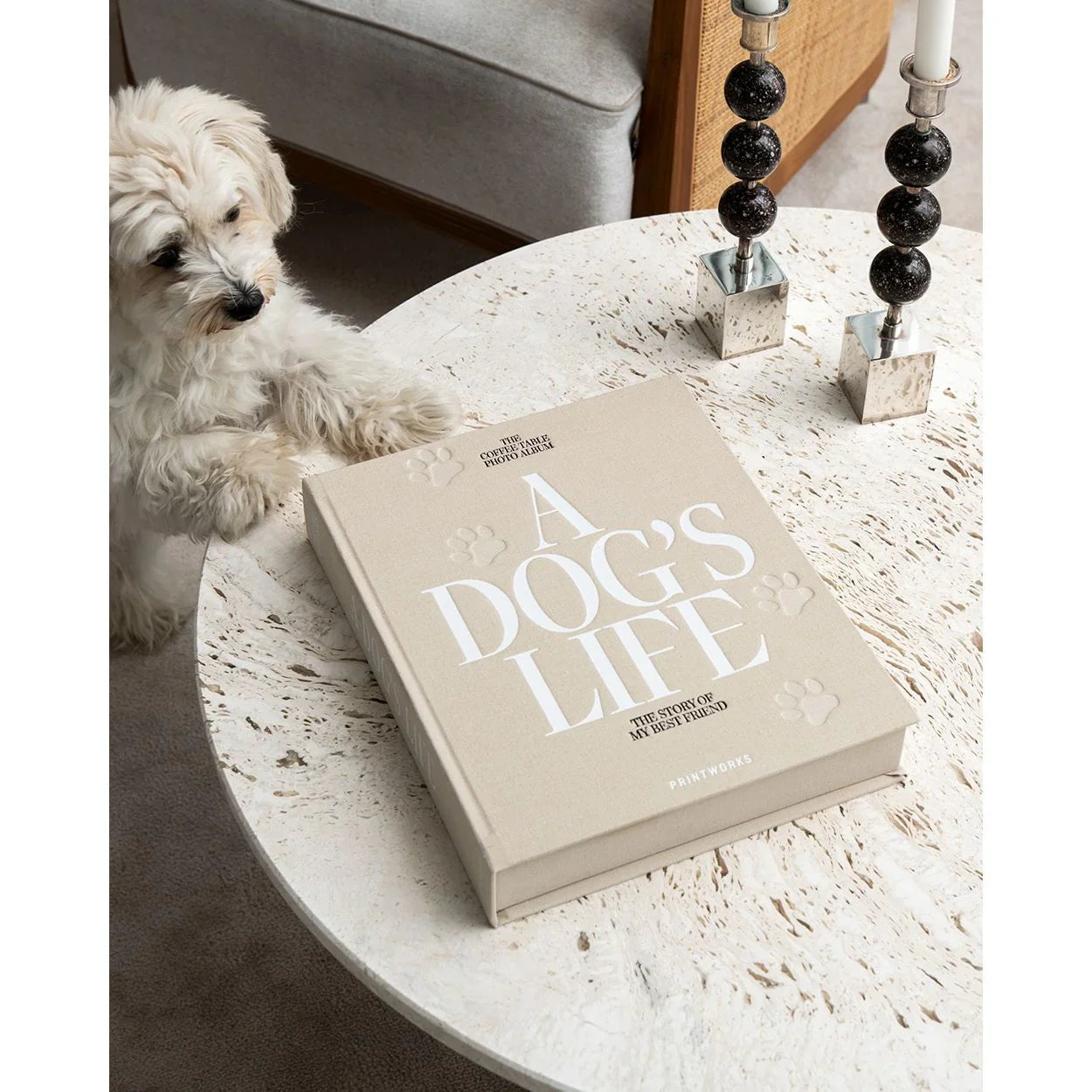 Light Gray Dog Album - A Dog's Life